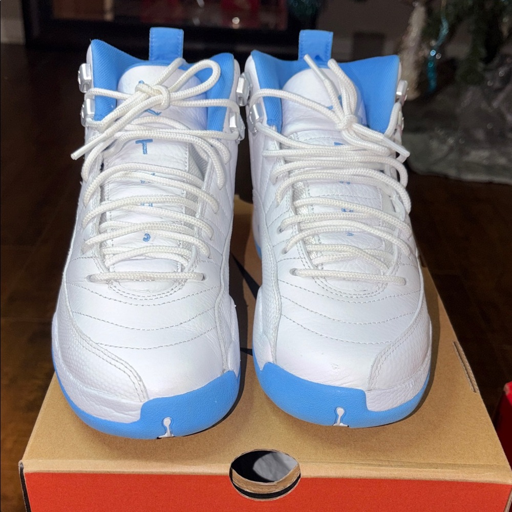 Air Jordan 12 Retro